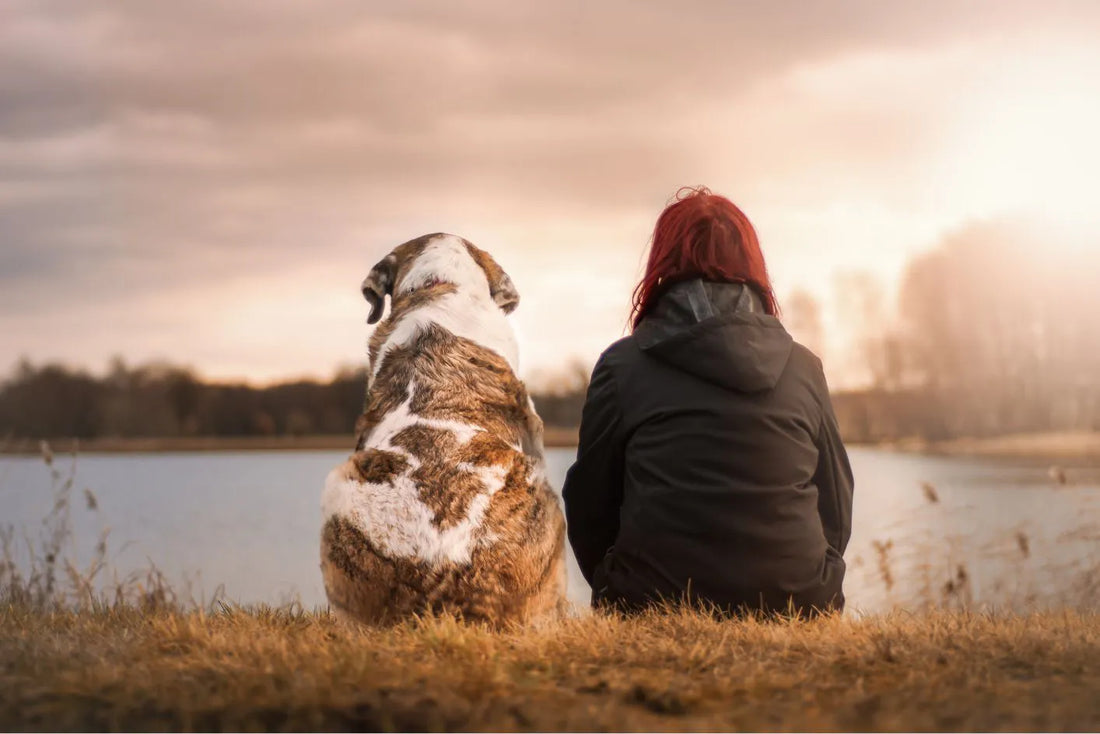 Eine Frau und ein Hund sitzen nebeneinander mit dem Rücken zum Betrachter sitzend auf dem Rasen und schauen auf einen See in der Abenddämmerung