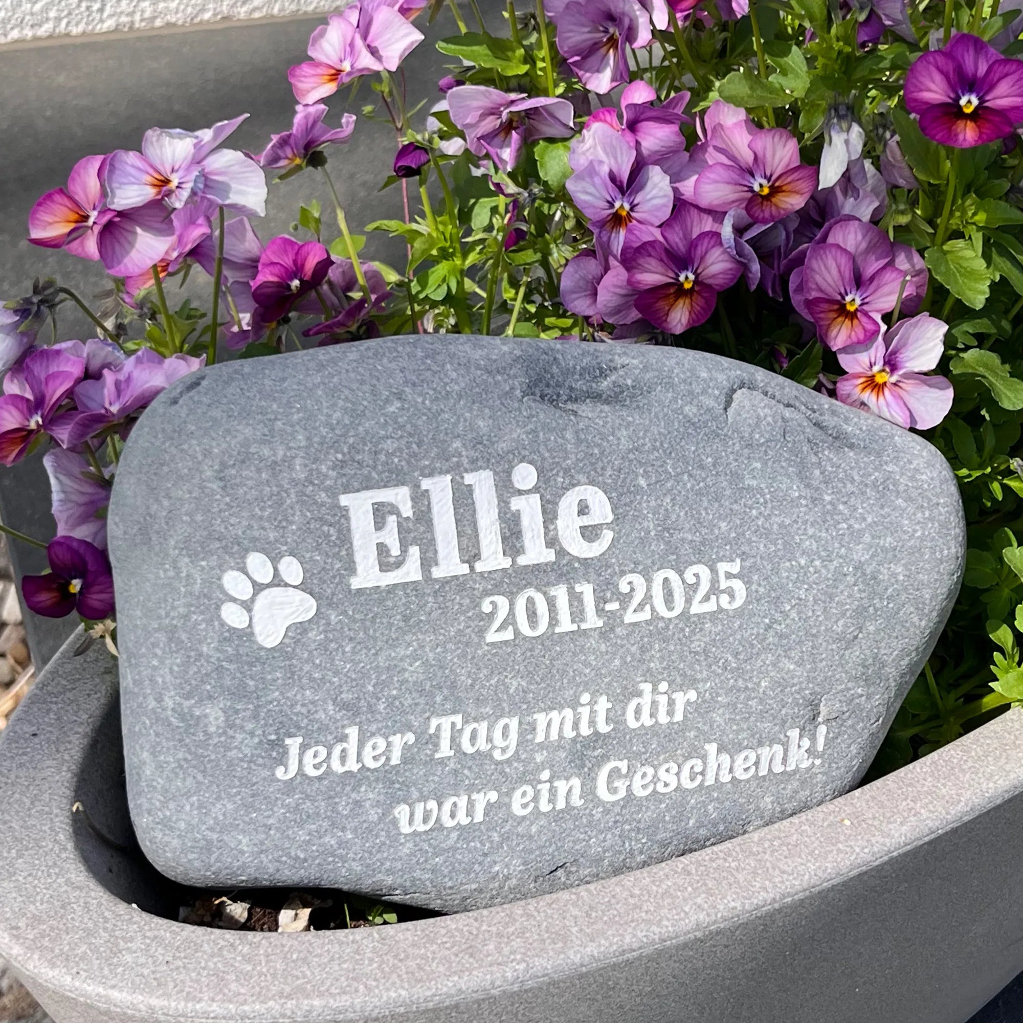 Naturstein Findling als Tiergrabstein für Hund mit Name, Daten und Hundepfote mit dem Text "Jeder Tag mit Dir war ein Geschenk!" mit Laser eingraviert und Gravur eingefärbt in weiß