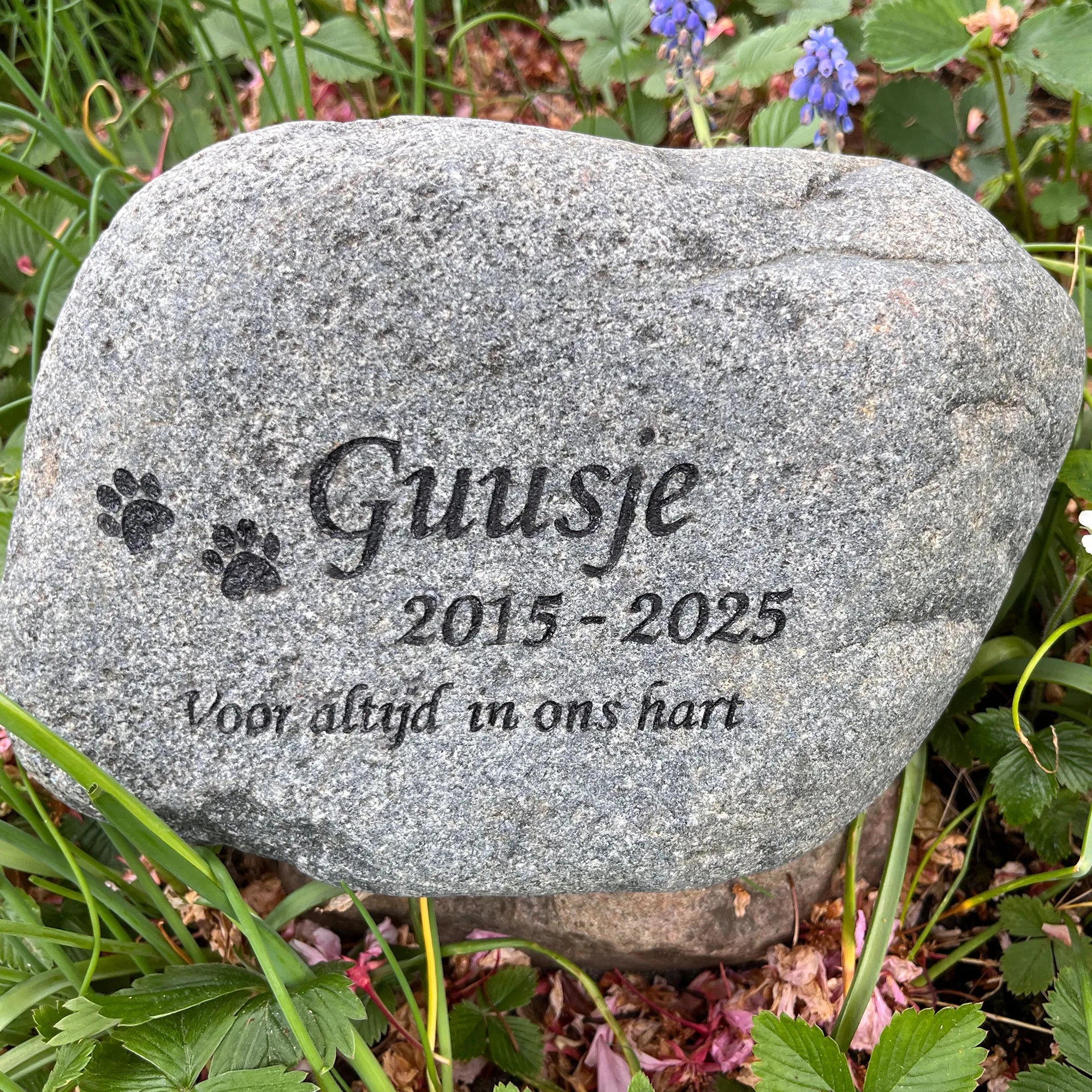 Naturstein Findling als Tiergrabstein für Hund mit Name, Daten und Hundepfoten und Text "Voor altijd in ons hart" übersetzt "Für immer in unseren Herzen" mit Laser eingraviert und Gravur eingefärbt in schwarz